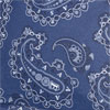 <span>Eastpak Motiv: Blue Paisley</span>