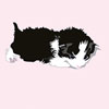 <span>ergobag Motiv: Katzen</span>