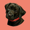 <span>ergobag Motiv: Hunde</span>