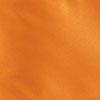 <span>Jansport Motiv: Orange Team</span>