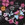 Flower Ocean
