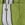 Green Onion