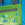 Turquoise Lime