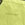 Coat Lime
