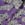 Boldface Purple