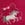 Lovely Horse