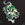Spirit Dragon