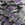 Purple Leaf Camo