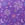 Purple Flower