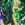 Fairies