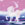 Chip Rosa