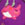 Walfisch