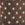 Mocha Dots