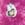 Pink Horse