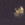 Drache