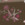 Fly to me