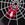 Black Spider