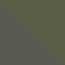 Carbon Lemon