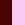 Mocca Rose