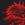 Dragon Blood Red